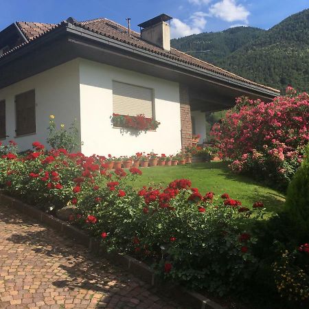 Weingut Zundlhof Villa Bolzano Exteriör bild