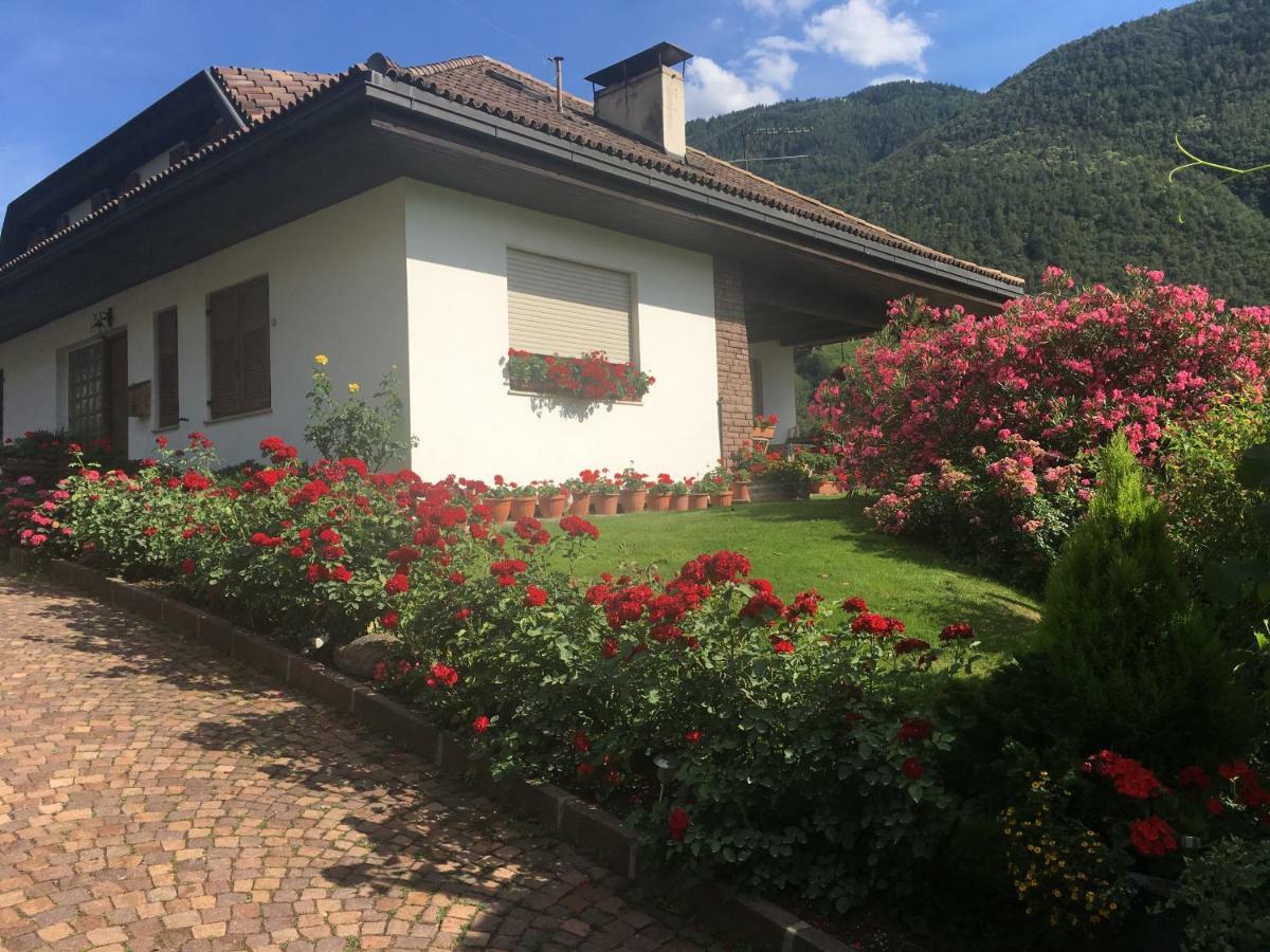 Weingut Zundlhof Villa Bolzano Exteriör bild